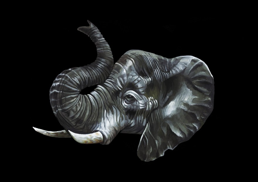 elephant