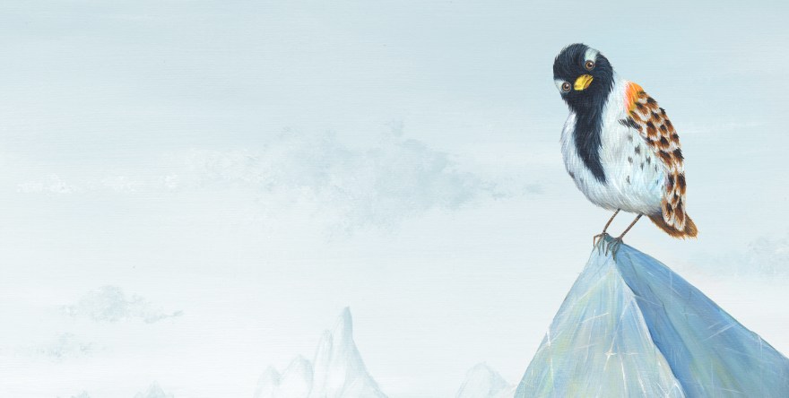 Bird on iceberg Yuliya Pankratova.jpg