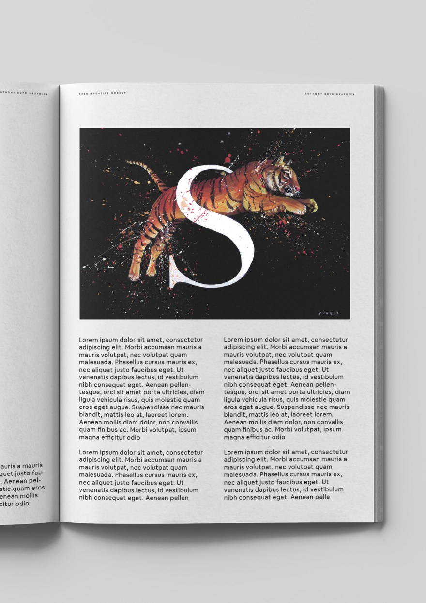 S tiger editorial - Yuliya Pankratova.jpg